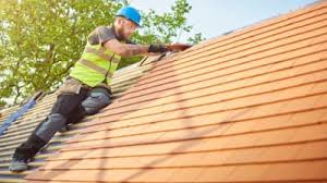 Professional Roofing Services in Ionia, MI